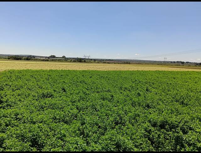 36HA FARM FOR SALE IN BRITS RURAL